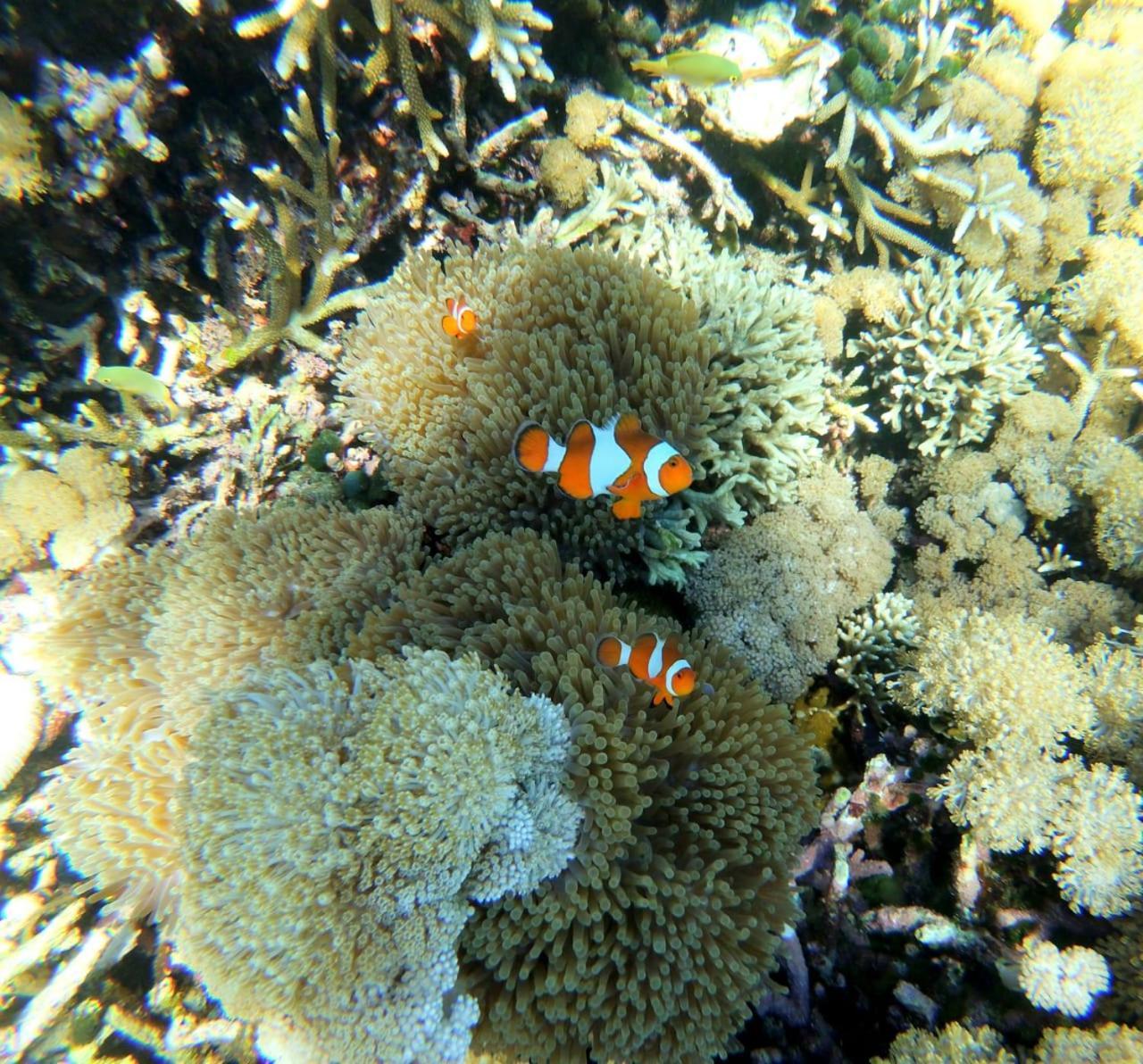 Kampung Meno Bungalows Gili Meno Luaran gambar